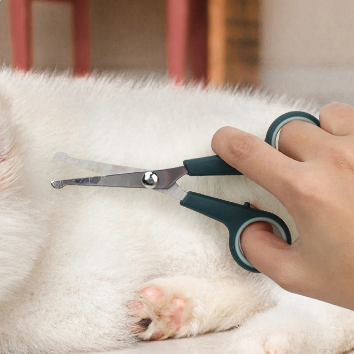 St Future Perfect Paws All-in-One Grooming Care Set