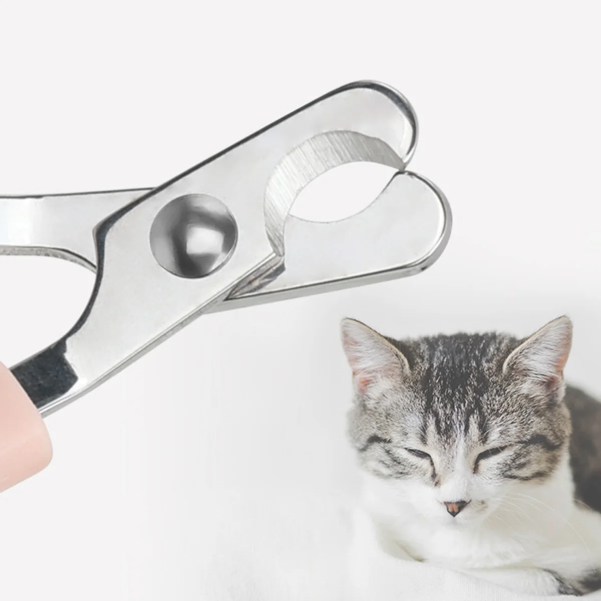 St Future Paw Perfect Scissor-Style Pet Nail Clipper