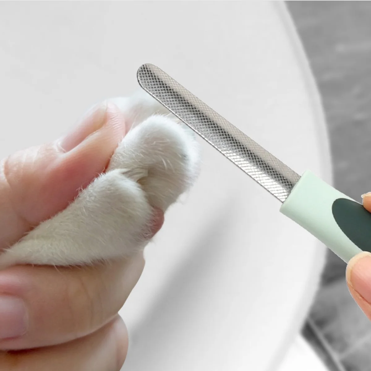 St Future Perfect Paws All-in-One Grooming Care Set