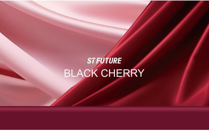 Black Cherry Lip & Beauty Collection
