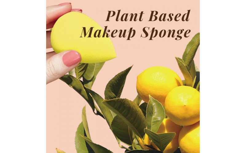 Plant-Based Biodegradable Makeup Sponge