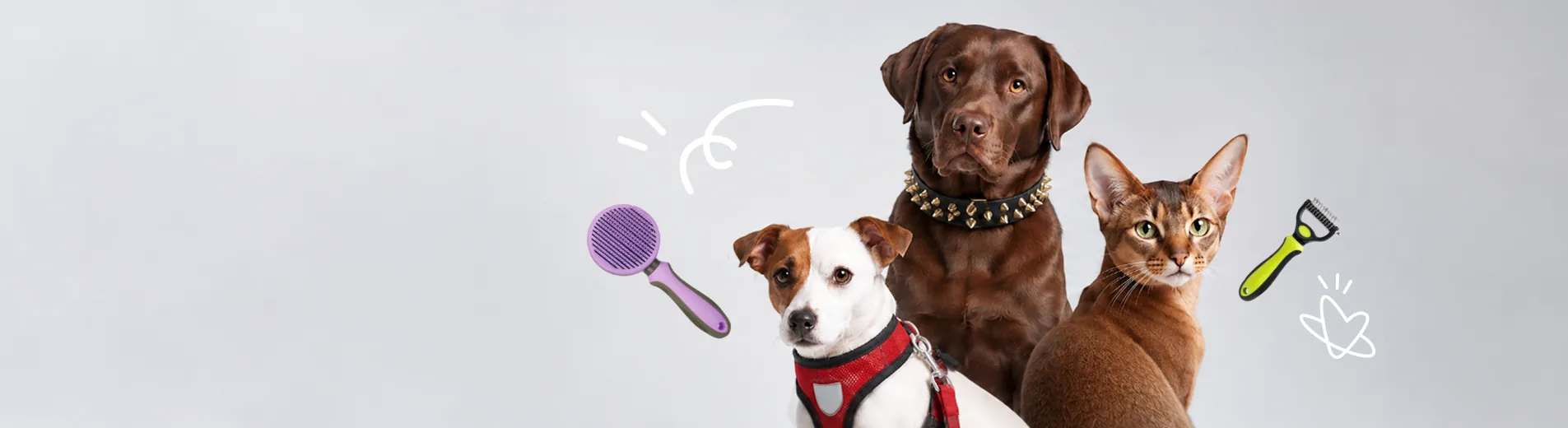 Pet Grooming & Care