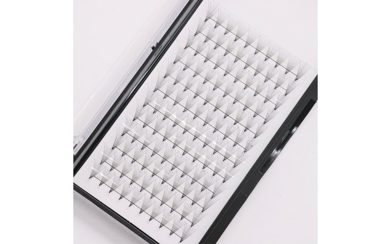 Flawless Fans Individual Lashes