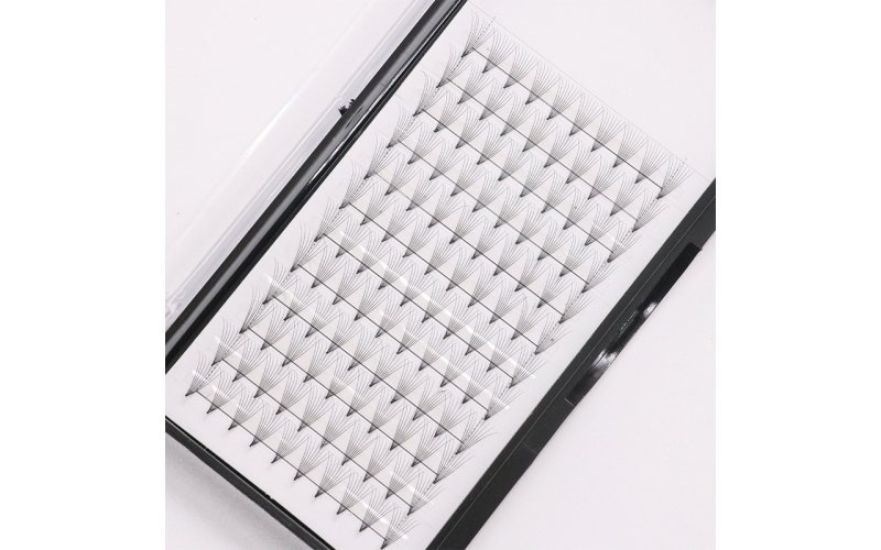 Classic Knot-Free Individual Lashes