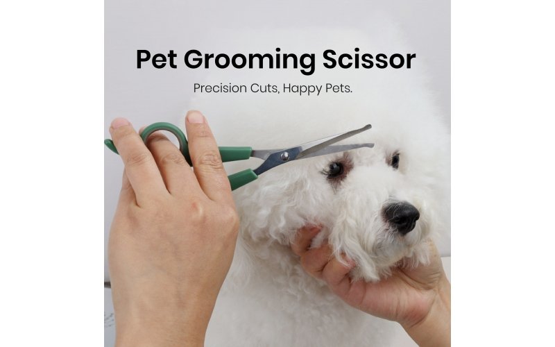 Adjustable Rounded-Tip Pet Grooming Scissors