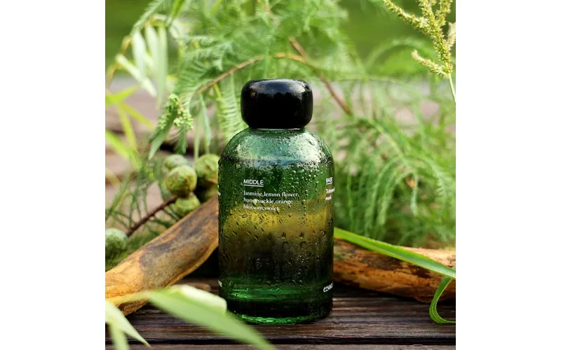 Reed diffuser with stick