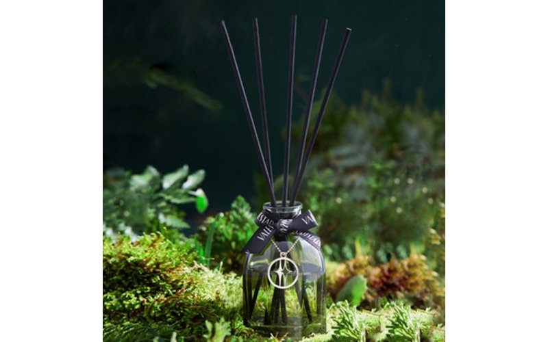 Reed diffuser with stick