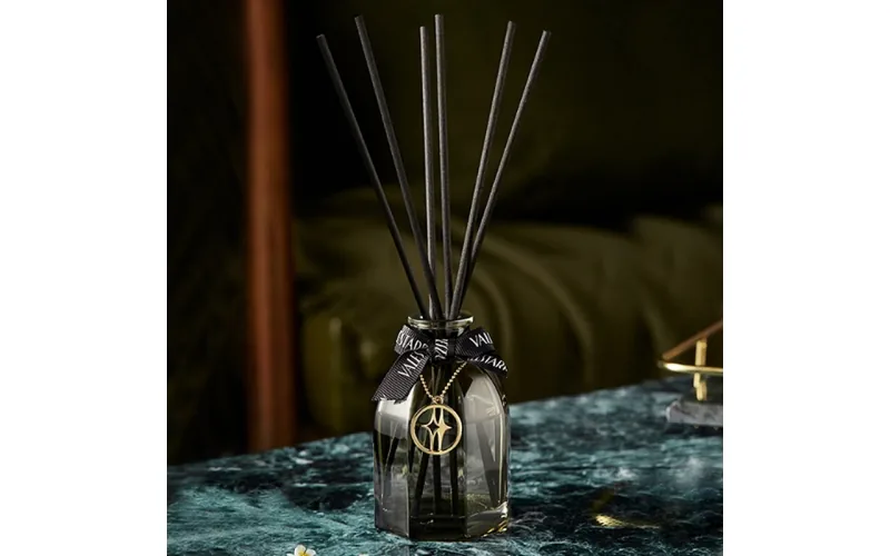 Reed diffuser with stick