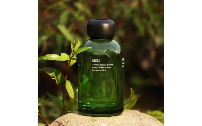 Reed diffuser with stick