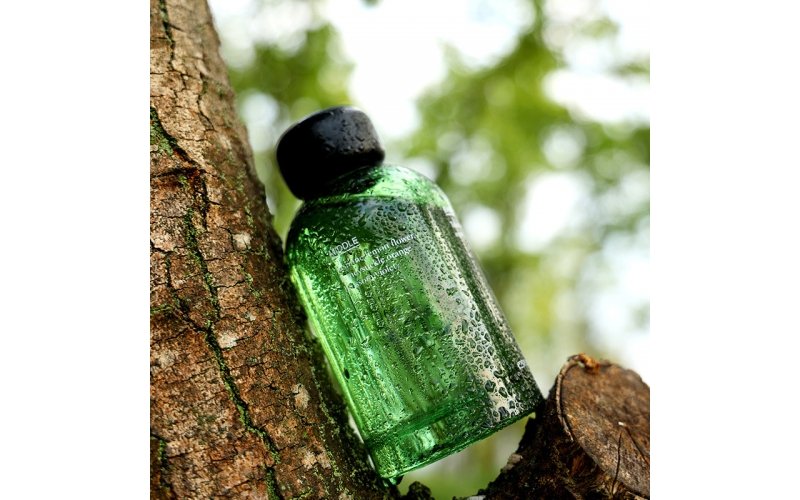 Reed diffuser with stick