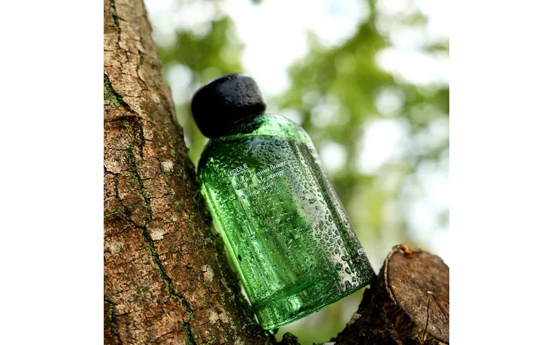 Reed diffuser with stick