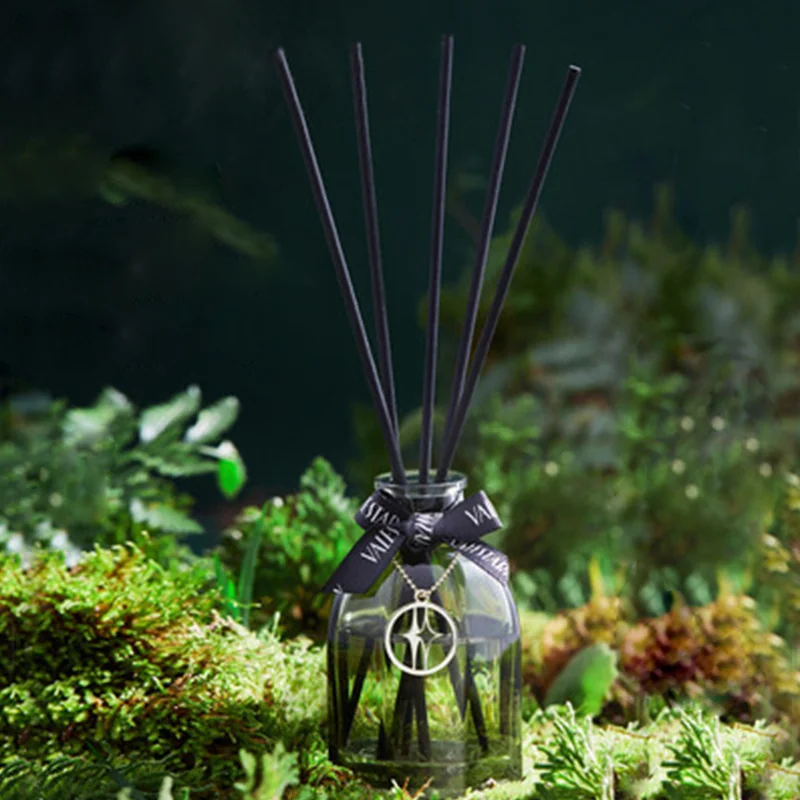 Reed diffuser with stick