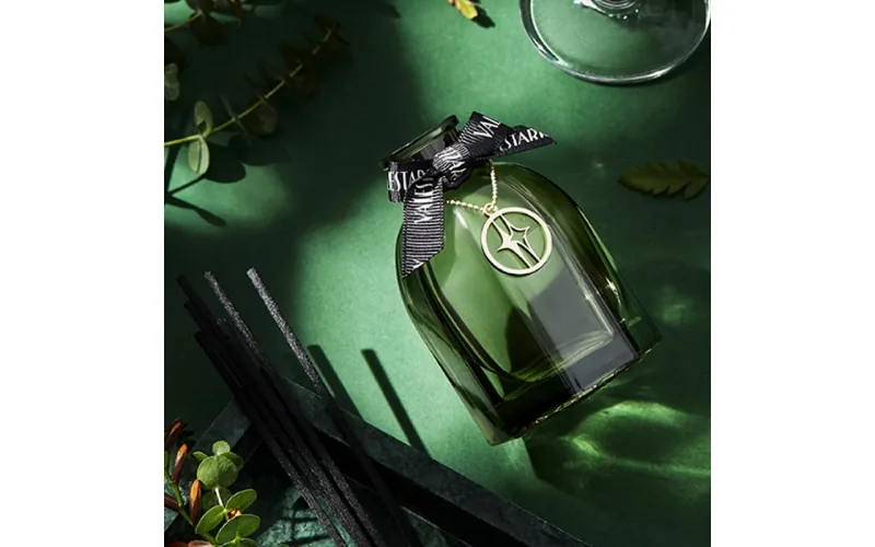 Reed diffuser with stick