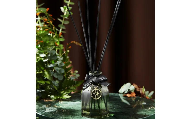 Reed diffuser with stick