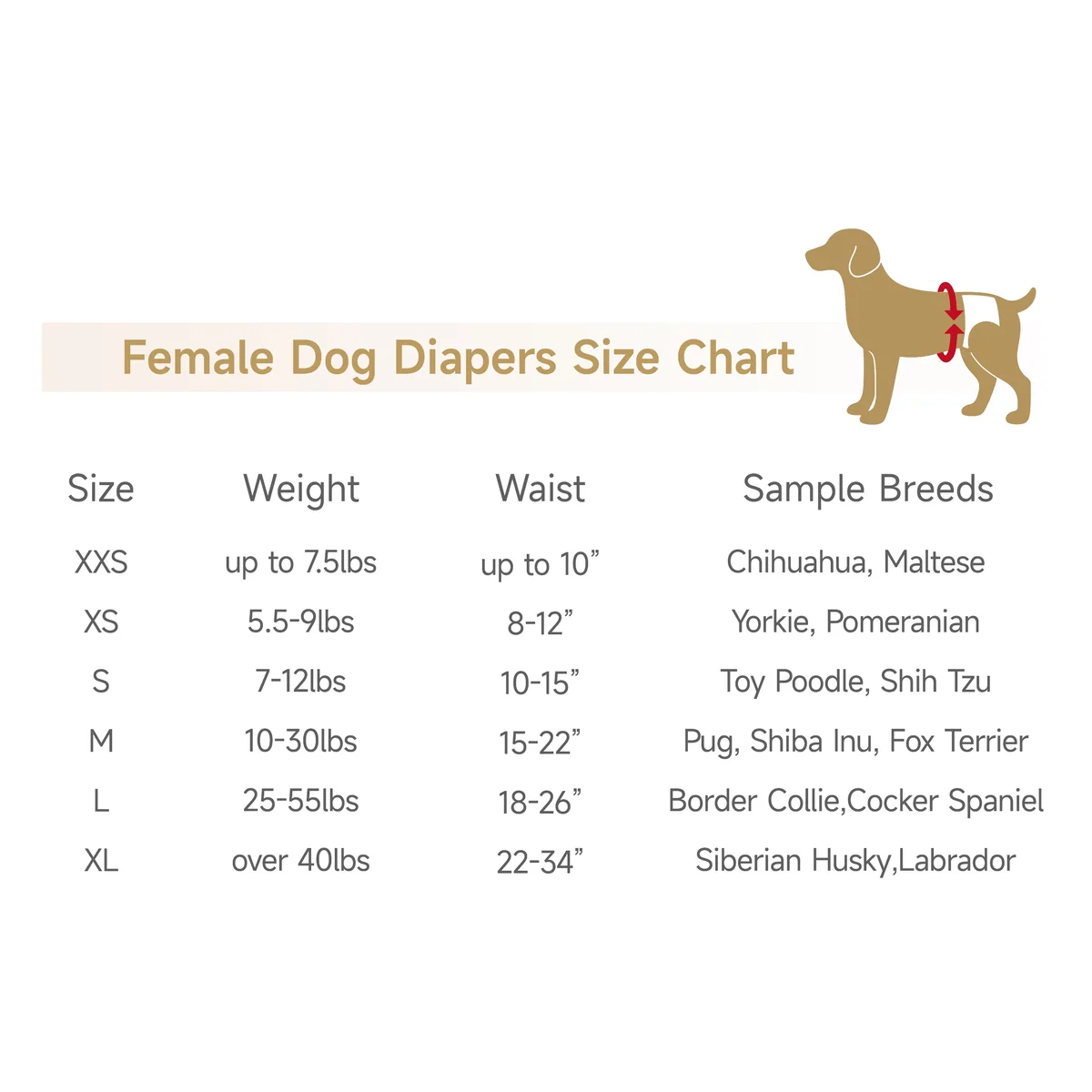St Future Female Dog And Puppies Diapers leakproof dogdiapers for all sizes female dog diapers for heat cycle breathableand absorbent dog diapers industrial quotation OEM/ODM