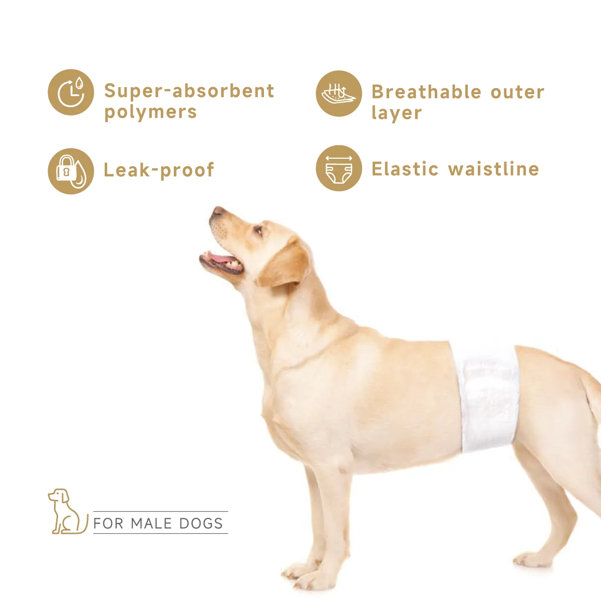St Future Male Wrap Dog Diapers best dog diapers for male andfemale dogs male dog diapers for marking and incontinencebreathable and absorbent dog diapers industrial quotation OEM/ ODM