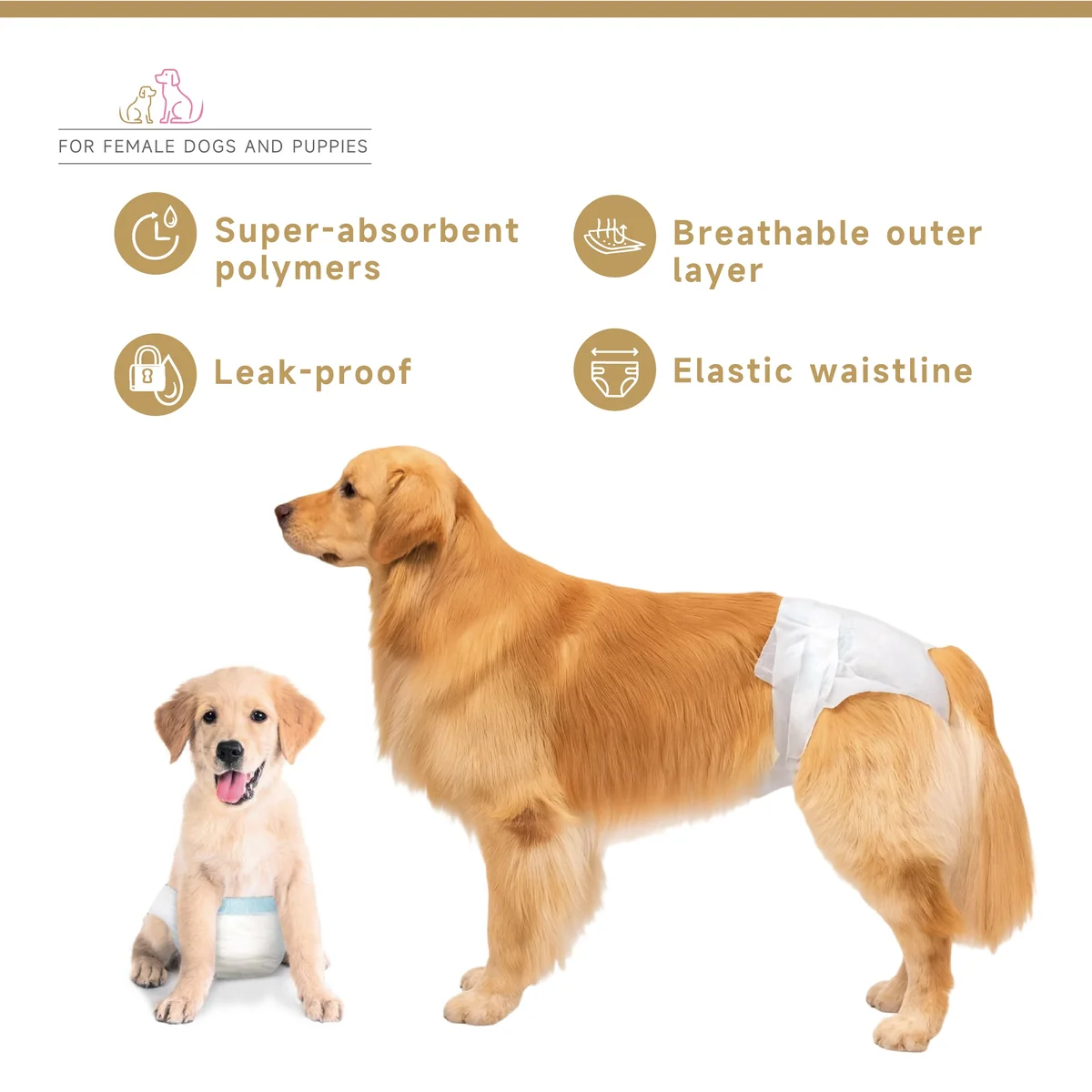 St Future Female Dog And Puppies Diapers leakproof dogdiapers for all sizes female dog diapers for heat cycle breathableand absorbent dog diapers industrial quotation OEM/ODM