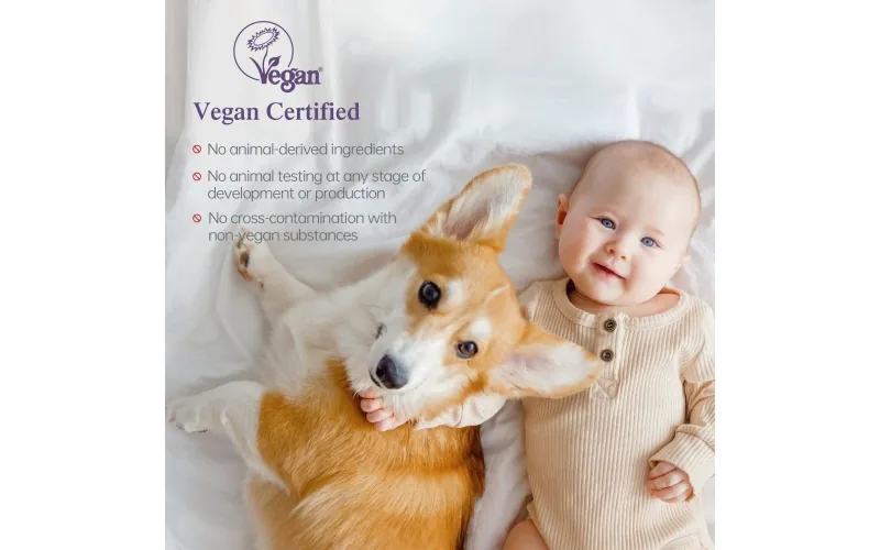 St Future Dryper Luxury Couture Baby Diapers Size 1 (2–5kg), 30 Count – Ultra Dry & Leak Protection, Hypoallergenic, Vegan, OEKO-TEX Certified, Day & Night Comfort production industrial FSC