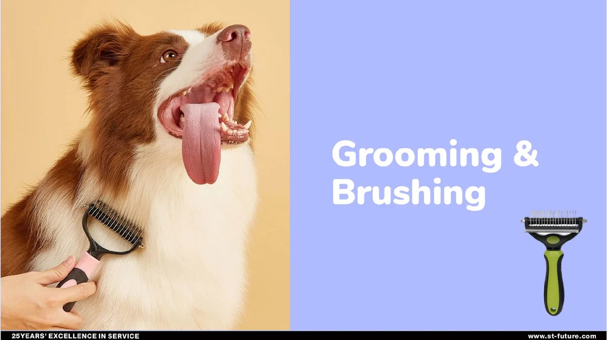 St Future Crafted Pet Essentials —Pet Grooming Tools Catalog